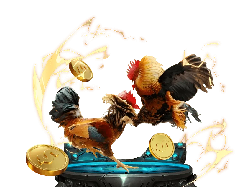 Rút tiền về ngân hàng Tai Ku Bet